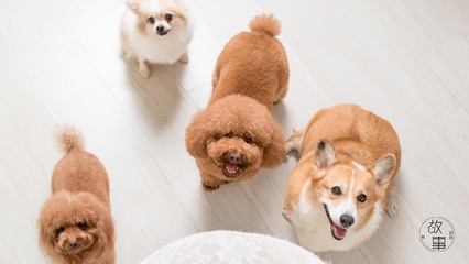 TP钱包APP官方下载