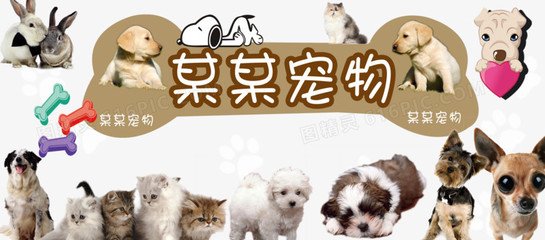 tokenim钱包官网下载