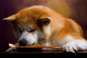 usdt trc20地址在哪里
