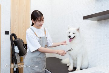 LTC钱包app钱包