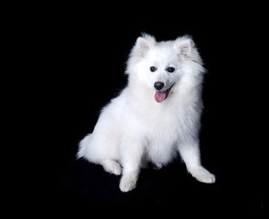 imtoken官方正版下载