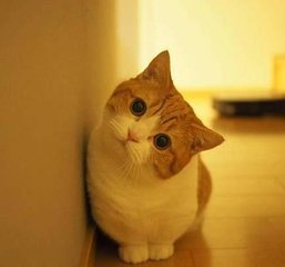 火币imtoken下载