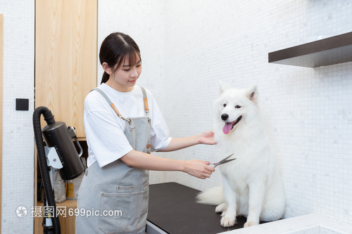 im钱包正版app下载