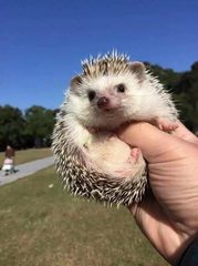 imtoken苹果下载不了